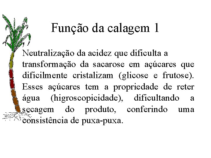 Função da calagem 1 Neutralização da acidez que dificulta a transformação da sacarose em