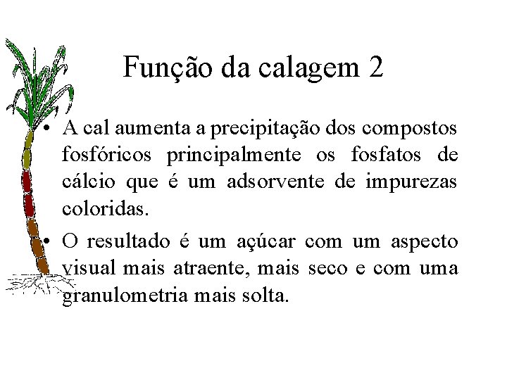 Função da calagem 2 • A cal aumenta a precipitação dos compostos fosfóricos principalmente