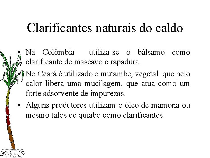 Clarificantes naturais do caldo • Na Colômbia utiliza-se o bálsamo como clarificante de mascavo