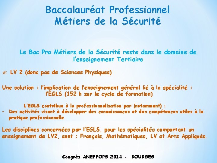 Baccalauréat Professionnel Métiers de la Sécurité Le Bac Pro Métiers de la Sécurité reste