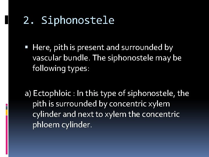 2. Siphonostele Here, pith is present and surrounded by vascular bundle. The siphonostele may