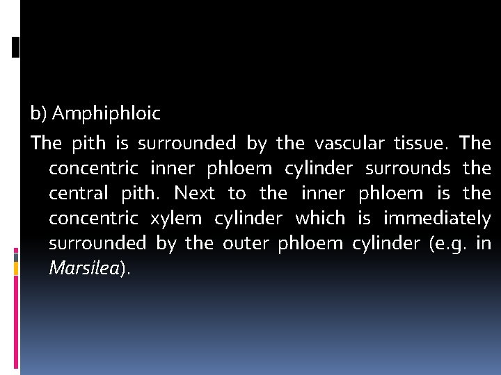 b) Amphiphloic The pith is surrounded by the vascular tissue. The concentric inner phloem