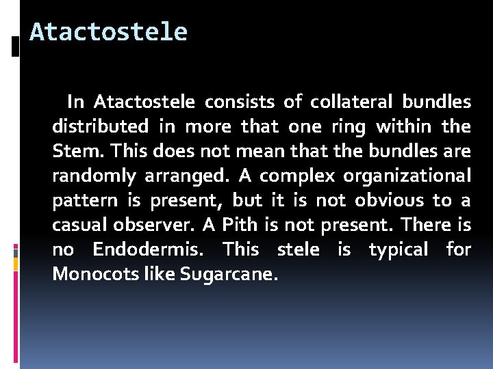 Atactostele In Atactostele consists of collateral bundles distributed in more that one ring within