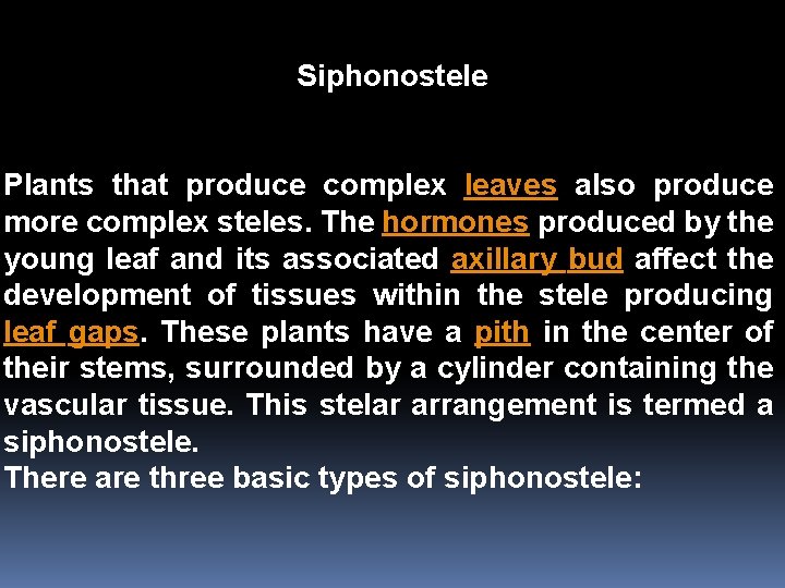 Siphonostele Plants that produce complex leaves also produce more complex steles. The hormones produced