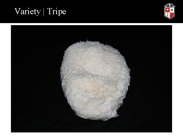 Variety | Tripe 