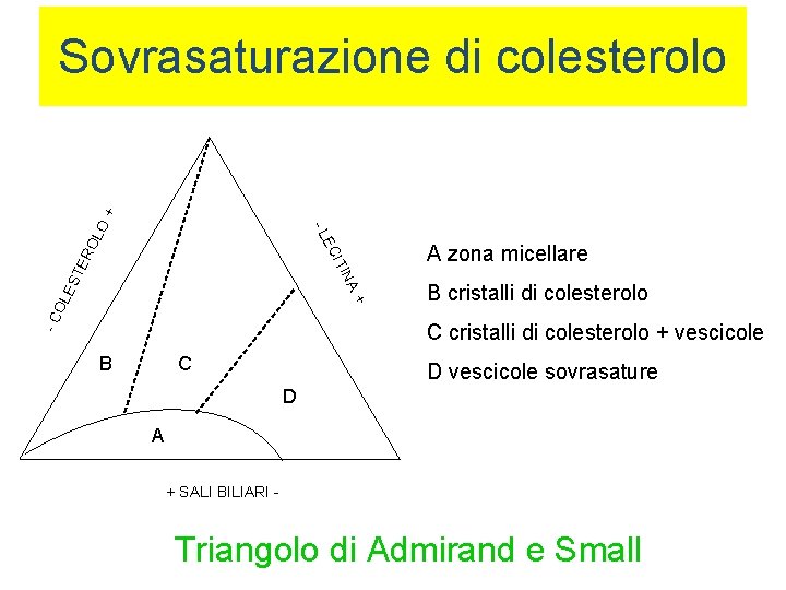 A zona micellare -C + OL ES INA TE IT EC RO L -L