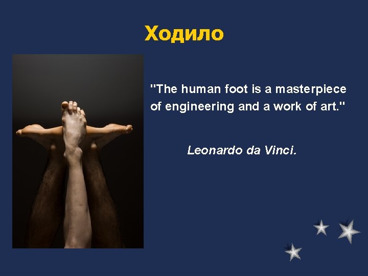 Ходило "The human foot is a masterpiece of engineering and a work of art.