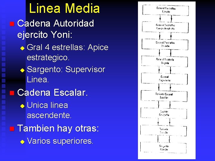 Linea Media n Cadena Autoridad ejercito Yoni: Gral 4 estrellas: Apice estrategico. u Sargento: