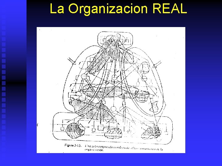 La Organizacion REAL 