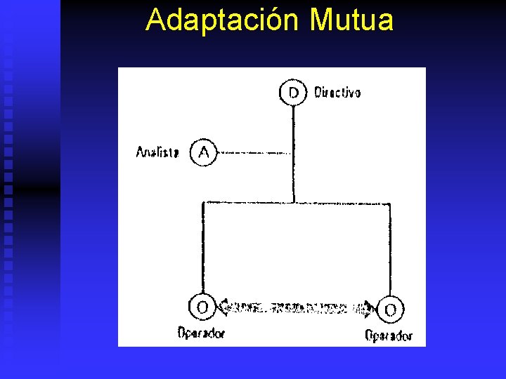 Adaptación Mutua 