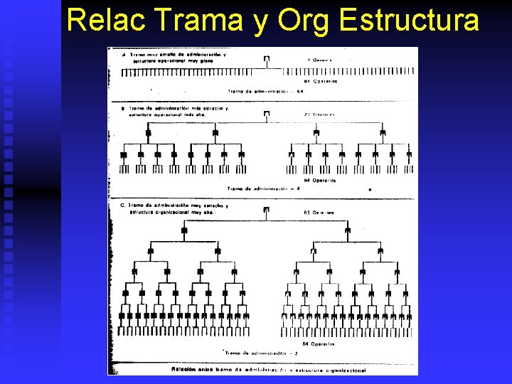 Relac Trama y Org Estructura 