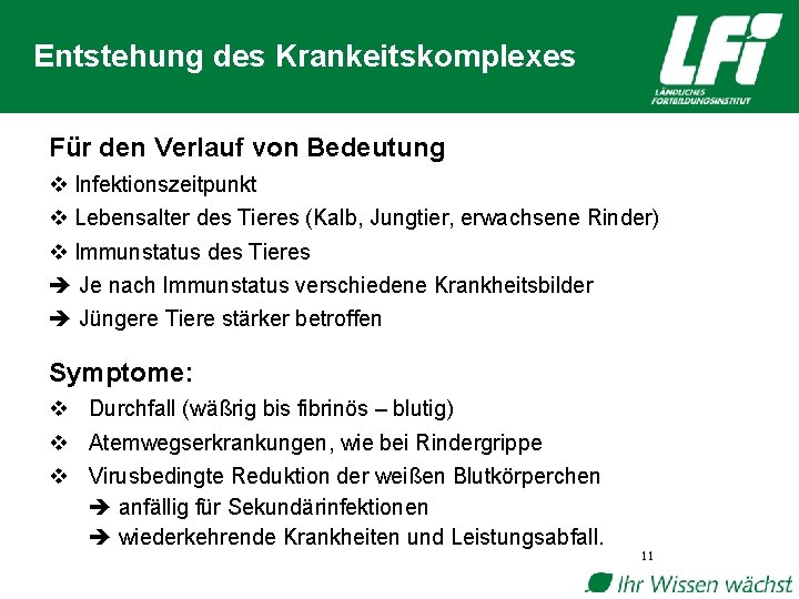 Entstehung des Krankeitskomplexes Für den Verlauf von Bedeutung v Infektionszeitpunkt v Lebensalter des Tieres