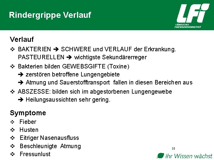 Rindergrippe Verlauf v BAKTERIEN SCHWERE und VERLAUF der Erkrankung. PASTEURELLEN wichtigste Sekundärerreger v Bakterien