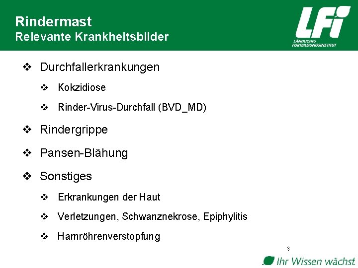 Rindermast Relevante Krankheitsbilder v Durchfallerkrankungen v Kokzidiose v Rinder-Virus-Durchfall (BVD_MD) v Rindergrippe v Pansen-Blähung