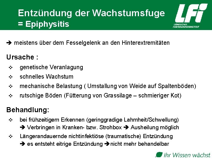 Entzündung der Wachstumsfuge = Epiphysitis meistens über dem Fesselgelenk an den Hinterextremitäten Ursache :