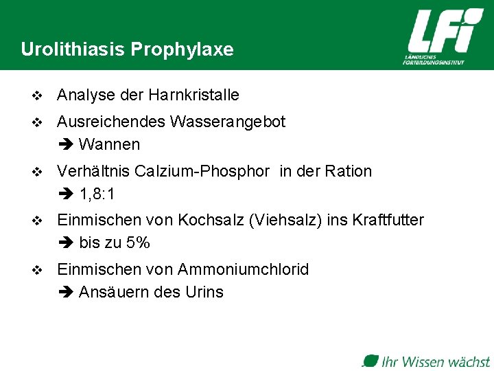 Urolithiasis Prophylaxe v Analyse der Harnkristalle v Ausreichendes Wasserangebot Wannen v Verhältnis Calzium-Phosphor in