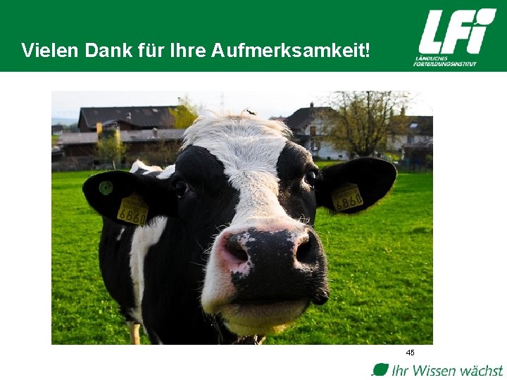 Vielen Dank für Ihre Aufmerksamkeit! 45 