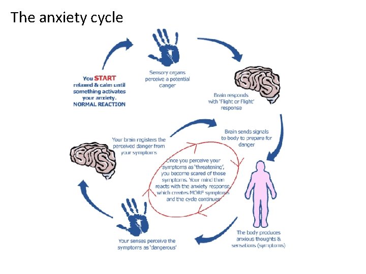 The anxiety cycle The anxiety cycle
