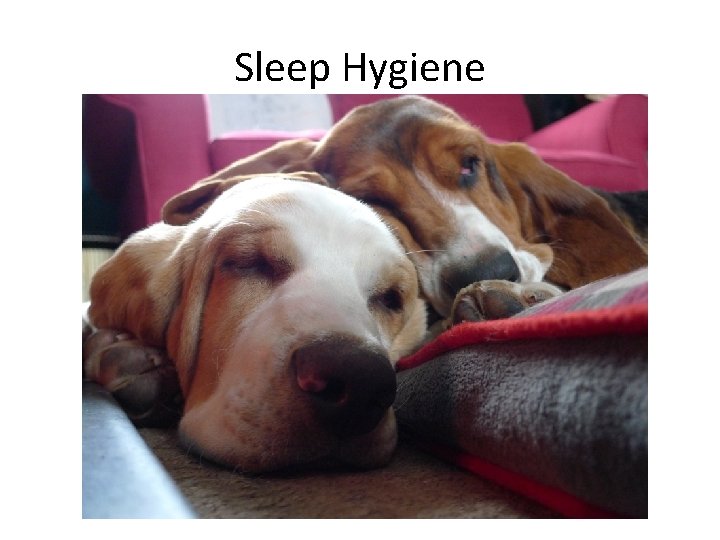 Sleep Hygiene Sleep Hygiene
