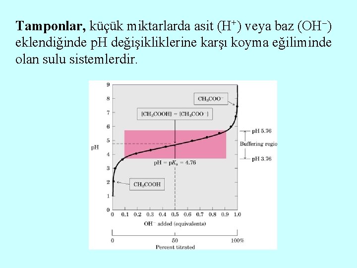 Tamponlar, küçük miktarlarda asit (H+) veya baz (OH ) eklendiğinde p. H değişikliklerine karşı