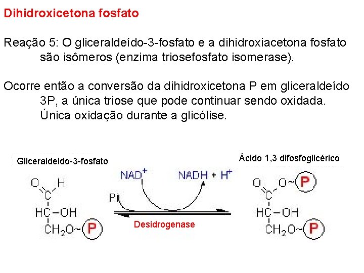 Dihidroxicetona fosfato Reação 5: O gliceraldeído-3 -fosfato e a dihidroxiacetona fosfato são isômeros (enzima