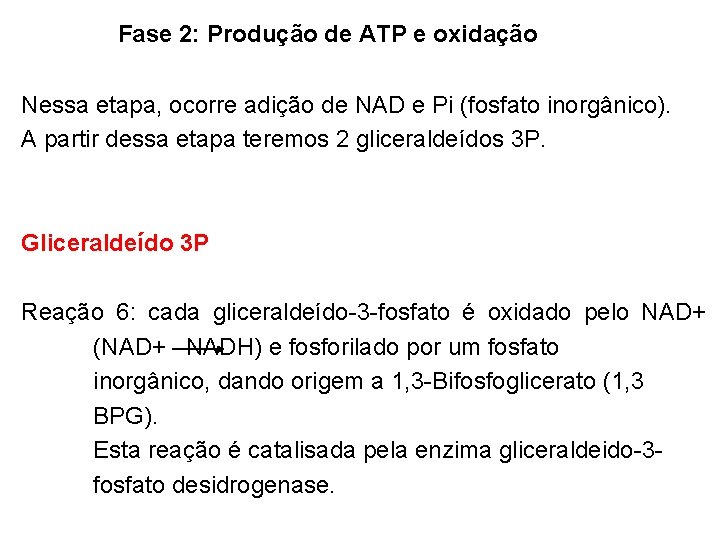Fase 2: Produção de ATP e oxidação Nessa etapa, ocorre adição de NAD e