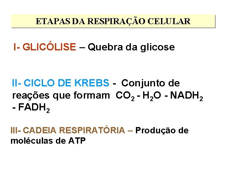 ETAPAS DA RESPIRAÇÃO CELULAR I- GLICÓLISE – Quebra da glicose II- CICLO DE KREBS