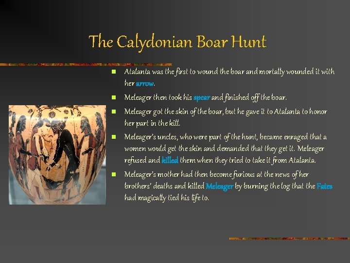 The Calydonian Boar Hunt n n n Atalanta was the first to wound the