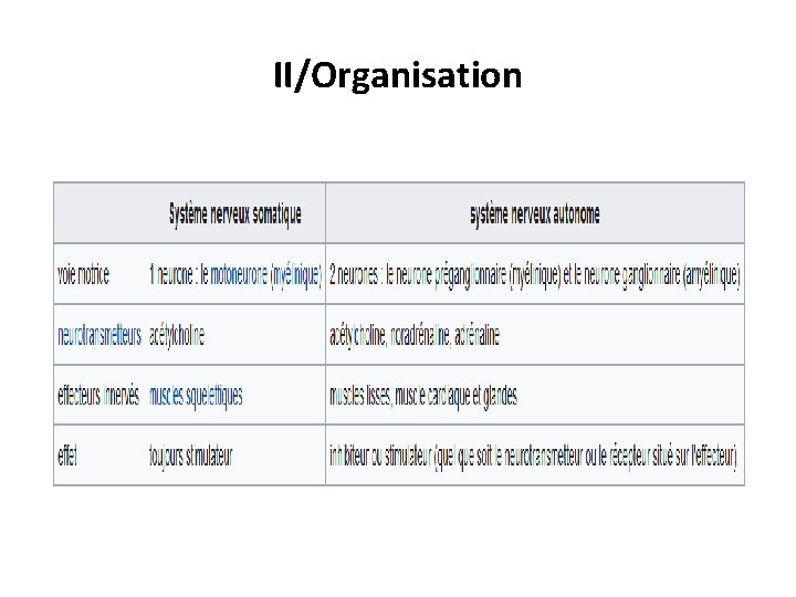 II/Organisation 