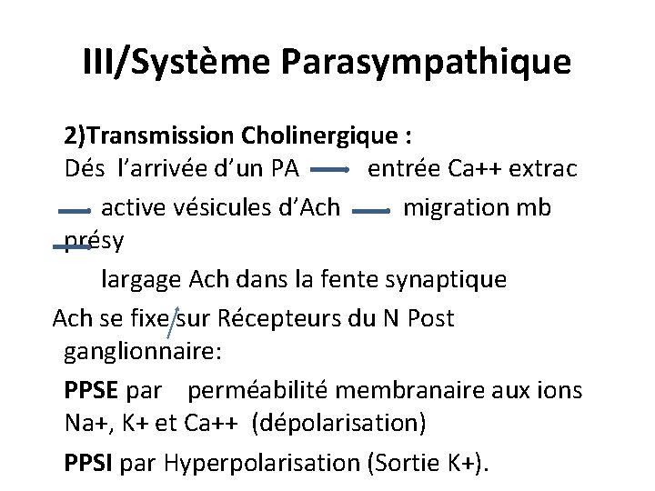 III/Système Parasympathique 2)Transmission Cholinergique : Dés l’arrivée d’un PA entrée Ca++ extrac active vésicules