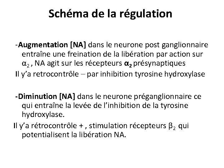 Schéma de la régulation -Augmentation [NA] dans le neurone post ganglionnaire entraîne une freination