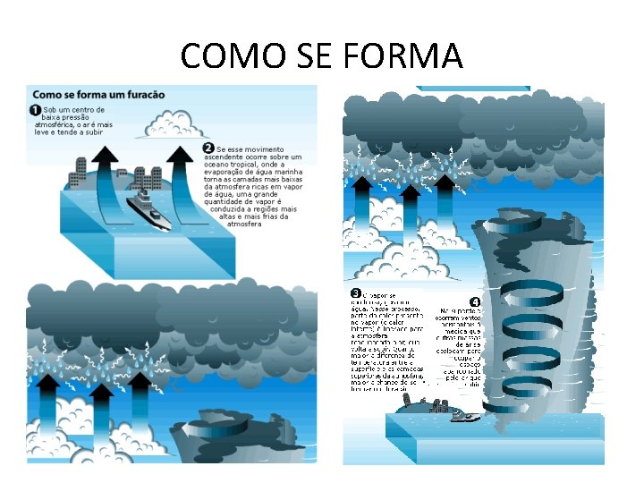 COMO SE FORMA 
