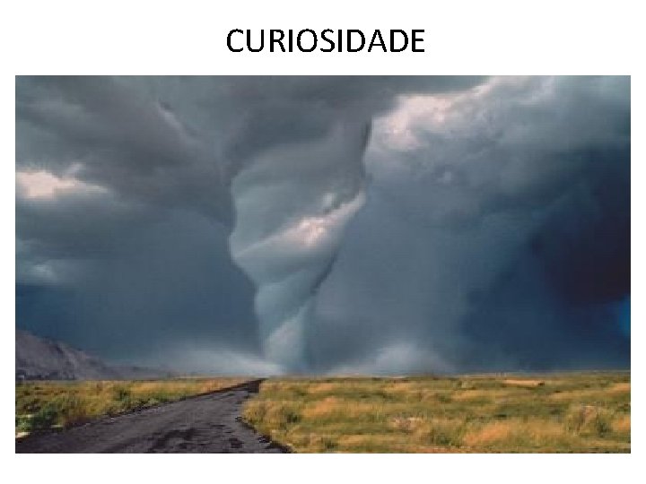 CURIOSIDADE 