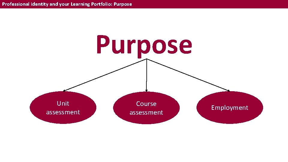 Professional identity and your Learning Portfolio: Purpose Unit assessment Course assessment Employment 