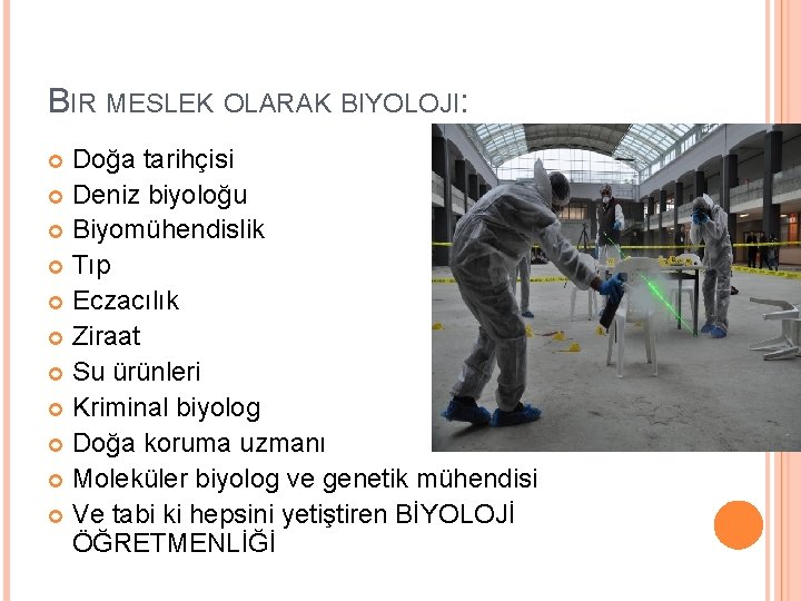 BIR MESLEK OLARAK BIYOLOJI: Doğa tarihçisi Deniz biyoloğu Biyomühendislik Tıp Eczacılık Ziraat Su ürünleri