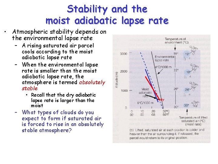 Stability and the moist adiabatic lapse rate • Atmospheric stability depends on the environmental