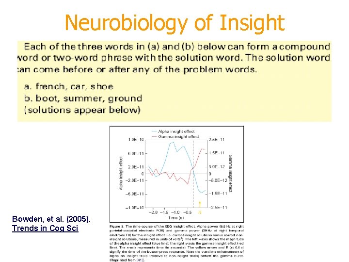 Neurobiology of Insight Bowden, et al. (2005). Trends in Cog Sci 
