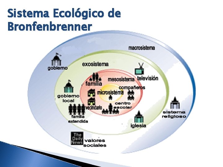 Sistema Ecológico de Bronfenbrenner 