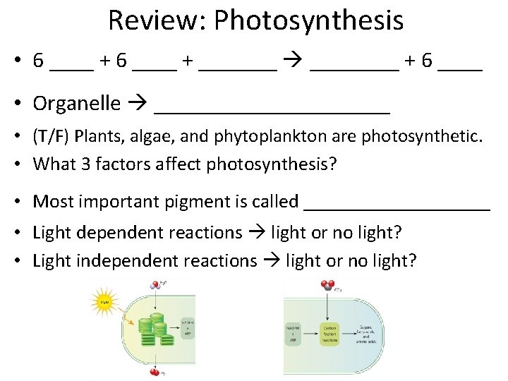 Review: Photosynthesis • 6 ____ + _______ + 6 ____ • Organelle ___________ •