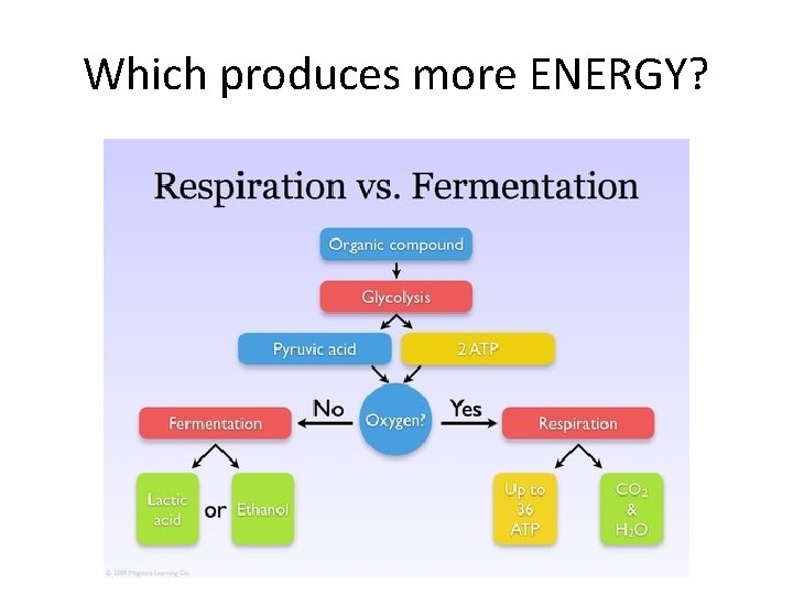 Which produces more ENERGY? 