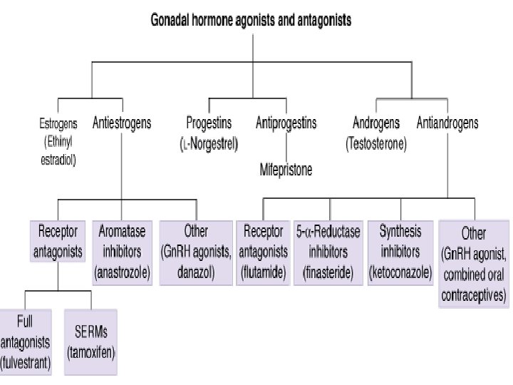 3 PM 8: 40: 22 12/1/2020 