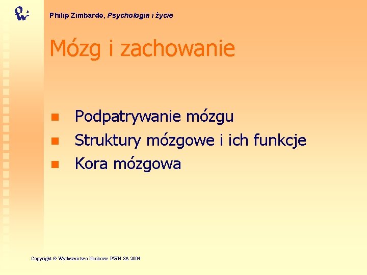 Philip Zimbardo, Psychologia i życie Mózg i zachowanie n n n Podpatrywanie mózgu Struktury