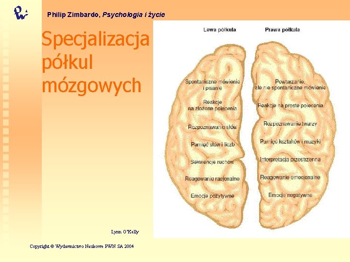 Philip Zimbardo, Psychologia i życie Specjalizacja półkul mózgowych Lynn O’Kelly Copyright © Wydawnictwo Naukowe