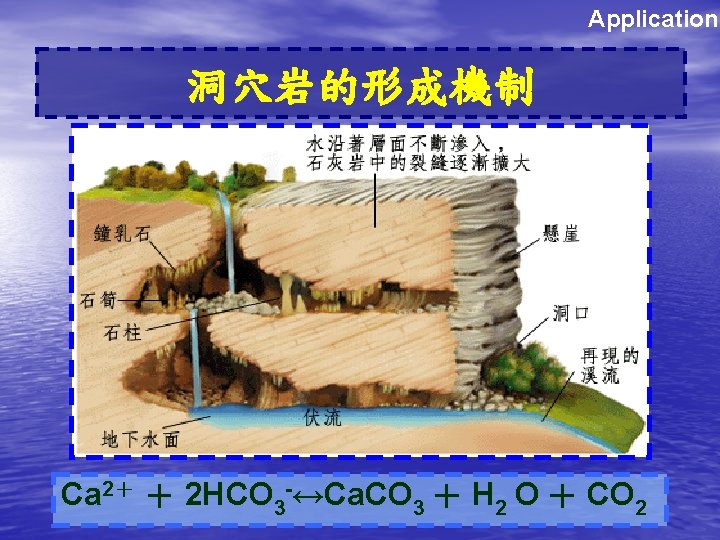 Application 洞穴岩的形成機制 Ca 2＋ ＋ 2 HCO 3 -↔Ca. CO 3 ＋ H 2