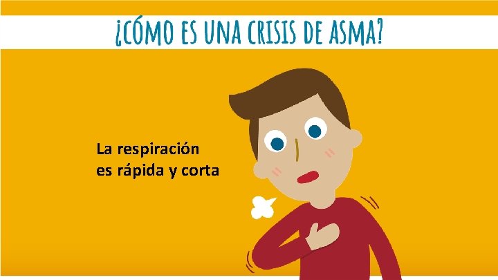 La respiración es rápida y corta 