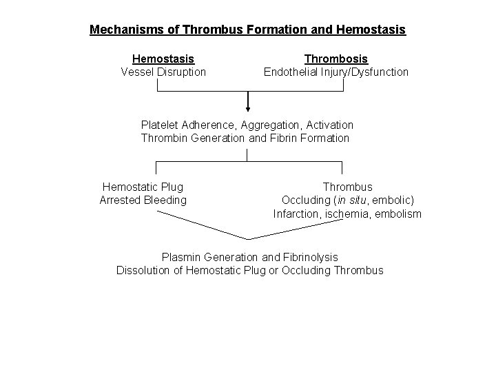 Mechanisms of Thrombus Formation and Hemostasis Vessel Disruption Thrombosis Endothelial Injury/Dysfunction Platelet Adherence, Aggregation,