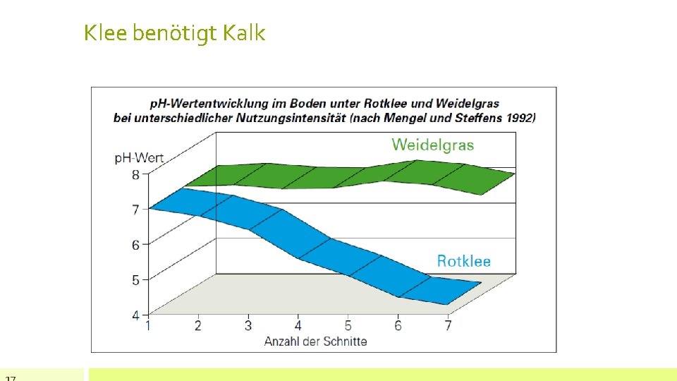 Klee benötigt Kalk 