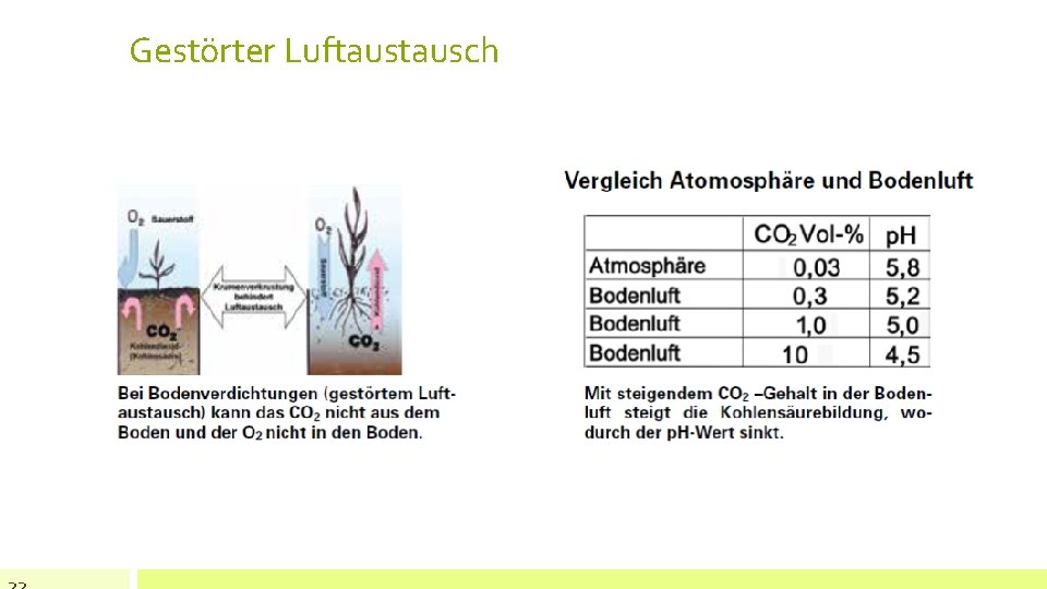 Gestörter Luftausch 