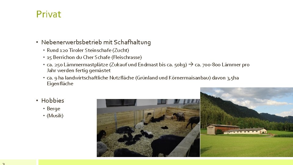 Privat • Nebenerwerbsbetrieb mit Schafhaltung • Rund 120 Tiroler Steinschafe (Zucht) • 15 Berrichon