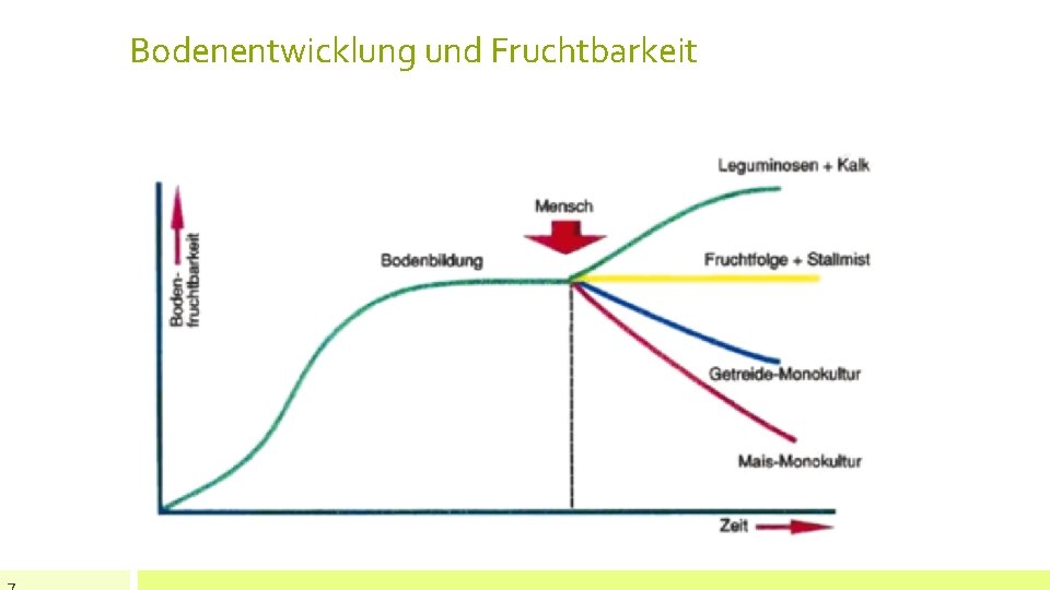 Bodenentwicklung und Fruchtbarkeit 